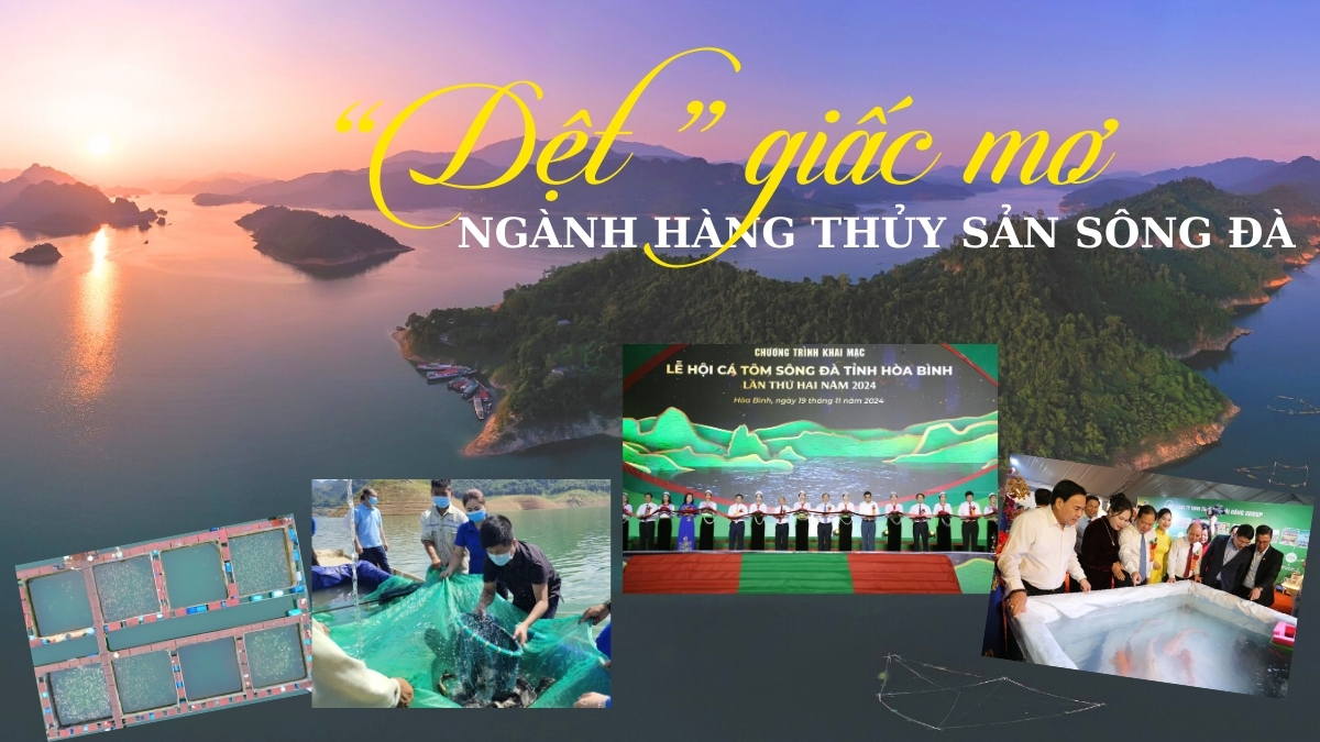 “Dệt” giấc mơ ngành hàng thủy sản sông Đà