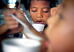 Thiếu ăn đang là thách thức lớn về an ninh lương thực của APEC