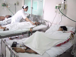 Bệnh nhân ngộ độc điều trị tại đơn vị chống độc thuộc Khoa Bệnh nhiệt đới Bệnh viện Chợ Rẫy
