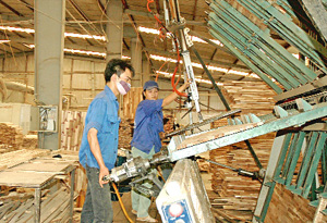 Một dây chuyền sản xuất gỗ xuất khẩu của  Công ty CP Sơn Thủy (Kỳ Sơn).