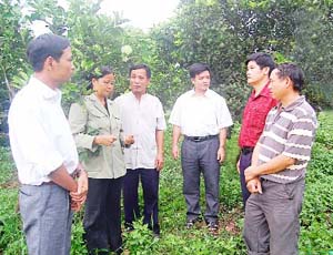 Đồng chí Nguyễn Văn Dũng, Phó Chủ tịch UBND tỉnh   kiểm tra tình hình sản xuất  tại thị trấn Cao Phong.