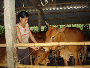 Hội Phụ nữ huyện Kỳ Sơn đã quyên góp hỗ trợ giống vật nuôi cho các hội viên nghèo phát triển kinh tế.