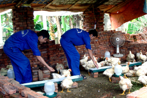 Trung tâm chữa bệnh – lao động xã hội Lạc Sơn mỗi năm tiếp nhận chữa trị, cai nghiện cho hàng chục lượt người nghiện ma tuý là người địa phương.