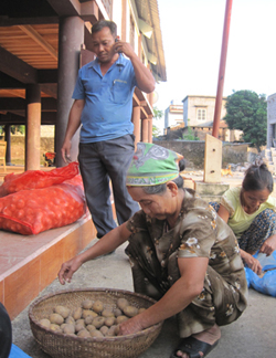 Nông dân xóm Lạng, xã Kim Bình (Kim Bôi) nhận khoai tây giống do UBND huyện cung ứng.