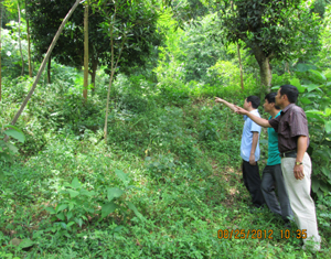 Lãnh đạo BQL rừng phòng hộ Sông Đà cùng cán bộ UBND xã thăm mô hình làng, xóm bảo vệ rừng ở xã Tân Mai (Mai Châu).