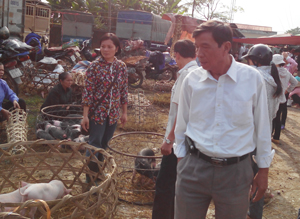Hội Bảo vệ quyền lợi NTD tỉnh khảo sát tình hình cung ứng con giống tại chợ Phú Cường (Tân Lạc).