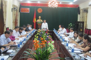 Đồng chí Hoàng Thanh Mịch, Trưởng Ban Tuyên giáo Tỉnh ủy, Trưởng Ban VHXH&DT chủ trì buổi giám sát.