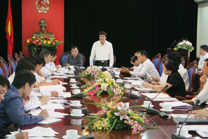 Đồng chí Trần Đăng Ninh, Phó Chủ tịch UBND tỉnh phát biểu tại hội nghị.