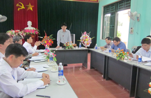 Đồng chí Nguyễn Văn Dũng, Phó Chủ tịch UBND tỉnh, Phó BCĐ 800 tỉnh phát biểu kết luận buổi làm việc.