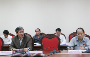 Đại biểu QH Đinh Thế Huynh phát biểu tại buổi thảo luận tổ.