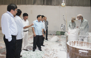 Đoàn giám sát HĐND tỉnh làm việc, khảo sát tại Công ty CP cồn và tinh bột Phú Mỹ (xã Phong Phú, huyện Tân Lạc).