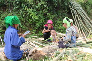 Nhân dân xóm Ênh, xã Tân Minh (Đà Bắc) phát triển nghề chẻ tăm, mành cho thu nhập cao, góp phần ổn định đời sống.