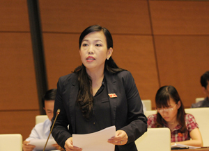 Đại biểu Quốc hội Nguyễn Thanh Hải phát biểu thảo luận tại Hội trường