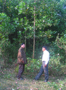 Hàng chục hộ dân xã Hưng Thi phát triển kinh tế trang trại rừng tăng nguồn thu nhập.