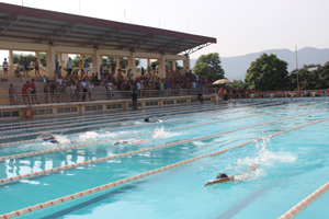 Các vận động viên tham dự nội dung bơi cự ly tại giải Bơi KHPĐ tỉnh năm 2015.

