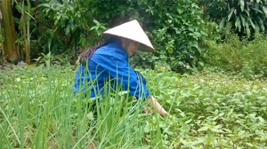 Chị Hoàng Phương Loan, hội viên chi hội tiểu khu 13, thị trấn Lương Sơn tích cực tăng gia sản xuất phát triển kinh tế, tăng thu nhập cho gia đình.