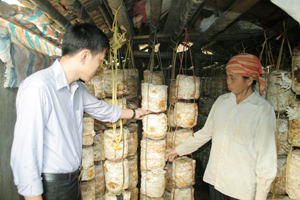 Cán bộ Trung tâm Dạy nghề huyện Mai Châu thăm mô hình nấm gia đình bà Hà Thị Ằm, xóm Chiềng Châu, xã Chiềng Châu.