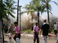 Cảnh giác với thảm họa sóng thần tại Việt Nam
