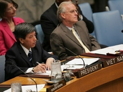 Đại sứ Bùi Thế Giang, Đại biện lâm thời Việt Nam tại Liên hợp quốc trong một phiên họp của Liên hợp quốc