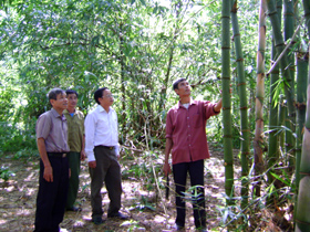 Hội CCB huyện Lạc Sơn thăm mô hình phát triển kinh tế của gia đình ông Bùi Văn Đủi.