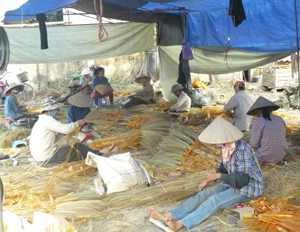 Tổ hợp sản xuất chổi chít thanh niên xã Yên Mông, TPHB tạo việc làm và thu nhập ổn định cho hơn 30 lao động địa phương.