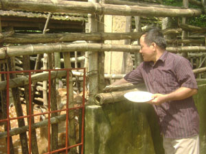 Ông Nguyễn Ngọc Khánh chăm sóc đàn hươu của gia đình.