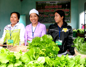 Sản phẩm nông nghiệp hữu cơ sản xuất trên địa bàn huyện Lương Sơn được người tiêu dùng đón nhận, là bước đột phá trong sản suất nông nghiệp của huyện.