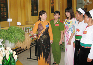 Lãnh đạo Hội LHPN tỉnh thăm quan gian trưng bày của các chi hội phụ nữ huyện Tân Lạc tại Đại hội đại biểu Hội LHPN huyện lần thứ XXI, nhiệm kỳ 2011-2016.