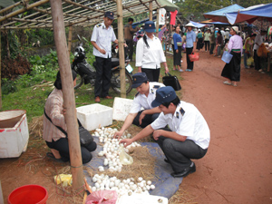 Lực lượng thú y huyện Lạc Sơn kiểm soát sản phẩm trứng gia cầm lưu thông tại các chợ.