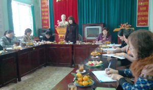 Lãnh đạo Hội LHPN tỉnh phát biểu đánh giá kết quả công tác Hội năm 2012 tại chi hội phụ nữ phường Đồng Tiến (TPHB).