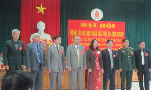 BCH Hội nạn nhân chất độc da cam/dioxin huyện Lương Sơn khóa I ra mắt Đại hội.