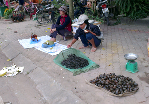 Dù đã có lệnh cấm nhưng ốc bươu vàng vẫn được bày bán. (Ảnh chụp tại chợ Tân Thành, Phường Tân Hòa - Thành phố Hòa Bình, hồi 9h14’, ngày 3/11/2013).


