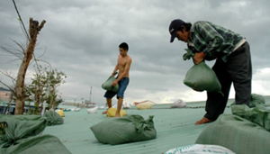 Lực lượng dân quân giúp dân dùng bao cát chẳng chống nhà cửa ở Đà Nẵng.