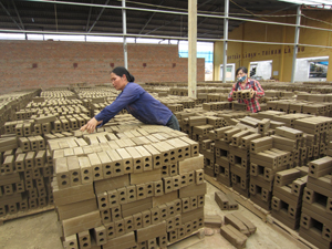 Công ty CP Đầu tư và Phát triển Hữu Lợi ở xóm Rị, xã Phú Thành (Lạc Thủy) phát triển sản xuất, tạo việc làm cho nhiều lao động địa phương.
