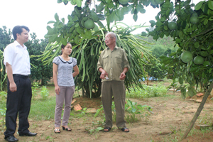 Toàn tỉnh đã có khoảng 1.500 ha cây có múi là cam, quýt, bưởi. Ảnh: ông Trần Thanh Hùng, xã Thanh Hối (Tân Lạc) giới thiệu về mô hình trồng bưởi đỏ, bưởi da xanh đem lại hiệu quả kinh tế cao.
