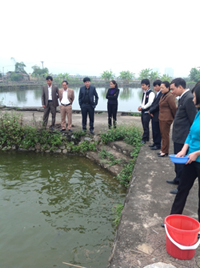 Đồng chí Nguyễn Văn Dũng, Phó Chủ tịch UBND tỉnh cùng lãnh đạo Sở NN&PTNT thăm khu vực ao nuôi cá giống của TTGVN&TS.
