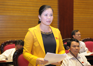 Đại biểu QH Bạch Thị Hương Thủy phát biểu tại Hội trường