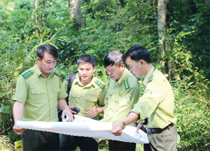 Cán bộ kiểm lâm BQL Khu BTTN Phu Canh thường xuyên kiểm tra đánh giá hiện trạng rừng để xây dựng phương án quản lý, bảo vệ phù hợp.

