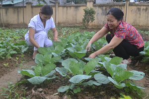 Giáo viên trường MN Thái Bình (TPHB) tận dụng diện tích sân vườn trồng rau sạch cung cấp cho bữa ăn của trẻ.

 


