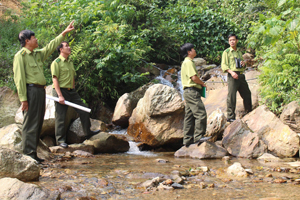 Lực lượng Kiểm lâm huyện Đà Bắc kiểm tra hiện trạng rừng, triển khai phương án PCCCR trên địa bàn.