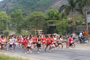 Các VĐV nữ trẻ và nữ chính tranh tài tại giải việt dã truyền thống huyện Lương Sơn năm 2014.

