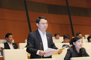 Đại biểu QH Nguyễn Tiến Sinh phát biểu tại hội trường.