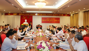 Hội nghị biểu quyết thông qua dự thảo chương trình công tác năm 2015 của BCH Đảng bộ tỉnh.