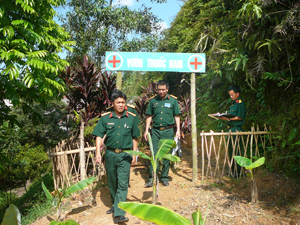 Ban CHQS huyện Kỳ Sơn xây dựng vườn thuốc nam góp phần thực hiện tốt chăm sóc sức khoẻ cho bộ đội.