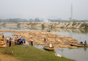 Tình trạng tập kết lâm sản trên sông Bôi, đoạn qua xã Khoan Dụ(Lạc Thủy) chưa được quản lý chặt chẽ làm ảnh hưởng đến dòng chảy và là nguyên nhân gây mất ATGT đường thủy.