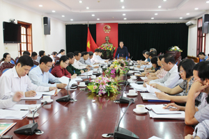 Đồng chí Nguyễn Văn Quang, Chủ tịch UBND tỉnh, Trưởng BCĐ 800 tỉnh phát biểu kết luận hội nghị.