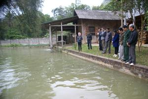 Lãnh đạo và hội viên Hội CCB huyện Mai Châu thăm quan mô hình nuôi cá của gia đình CCB Khà Văn Quang ở xóm Lọng, xã Vạn Mai.