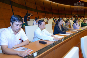 Các đại biểu Quốc hội tỉnh ta thông qua Chương trình mục tiêu quốc gia giai đoạn 2016 - 2020.