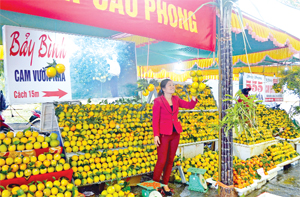Với chất lượng cao và đảm bảo tốt VSATTP, các loại cam Cao Phong đang được tiêu thụ tốt trên thị trường.  Ảnh: Cam Cao Phong bày bán trên địa bàn huyện Cao  Phong.