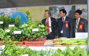 Đồng chí Trần Văn Tiệp (ngoài cùng bên trái) thăm quan gian triển lãm các mặt hàng nông sản nổi bật của tỉnh ta tại hội nghị điển hình tiên tiến ngành NN&PTNT năm 2015. Ảnh: Thu Trang